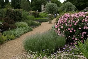 Wakehurst Place Collection: The Henry Price Walled Garden