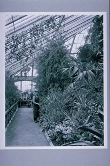 Horticulture Gallery: History