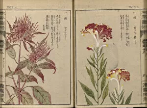 The Honzo Zufu Collection Gallery: Honzo Zufu, 1821- 1828