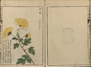 The Honzo Zufu Collection Gallery: Honzo Zufu, 1821-1828