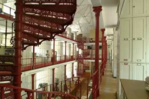 Research Collection: Interior of the Herbarium, RBG Kew