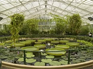 Architecture Gallery: Interior of the Waterlily House
