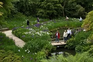 Visitors Collection: The Iris Dell, Wakehurst Place, Sussex