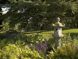 Specialised gardens Collection: Japanese Gardens, 2020