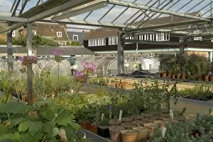 In the gardens Collection: Jodrell nursery