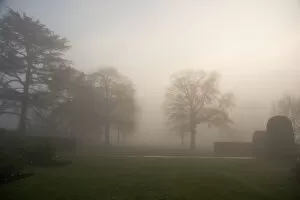 Images Dated 11th December 2013: Kew Gardens in the mist