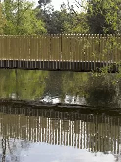 Bridge Collection: The Lake