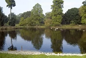 Arboretum Gallery: the Lake in autumn