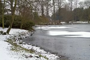 Arboretum Gallery: the Lake freezes