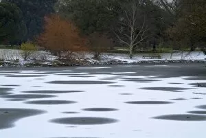 Features Gallery: the Lake freezes