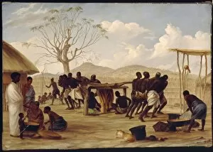 19th Century Gallery: Manufacture of Sugar at Katipo