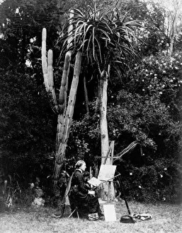 Marianne North Collection: Marianne North at her easel, circa 1883