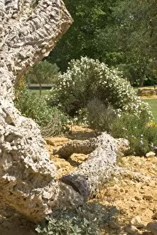 Features Collection: Mediterranean Garden