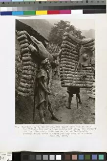 Travel, Explorers and Expeditions Gallery: Men laden with Brick tea for Tibet
