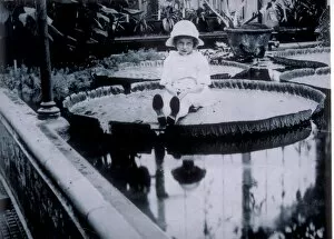 Botanical Gallery: Miss Cotton posing on the leaf of giant waterlily Kew Gardens, 1923