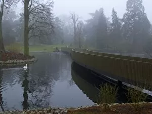 Arboretum Gallery: a misty autumn day