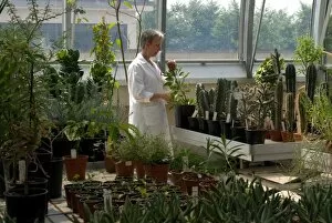 Images Dated 2nd July 2009: Nursery at the Millennium Seed Bank