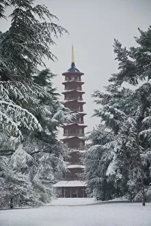 Winter Gallery: Pagoda