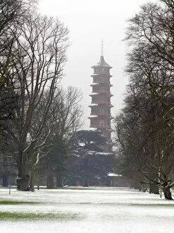 Snow Collection: The Pagoda