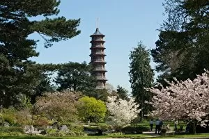 The Gardens Collection: The Pagoda, RBG Kew