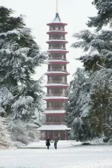 The Gardens Collection: The Pagoda, RBG Kew