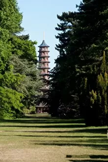 The Gardens Gallery: The Pagoda, RBG Kew