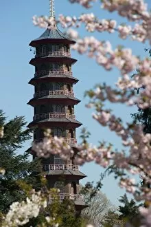 Images Dated 8th April 2011: The Pagoda, RBG Kew