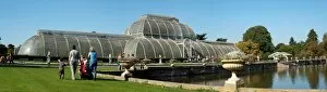Panoramic Collection: Palm House