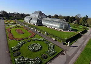 Glasshouses Gallery: Palm House, 2015