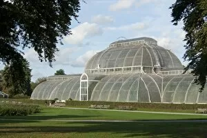 Architecture Gallery: Palm House