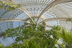 Images Dated 4th May 2011: Palm House