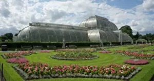 Images Dated 2011 July: The Palm House