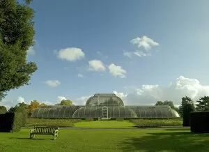 Cloud Collection: Palm House