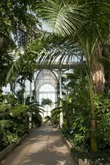 Glasshouses Collection: Palm House Interior