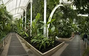 Glasshouses Collection: Palm House interior
