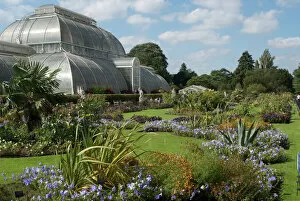 Summer Collection: Palm House Parterre