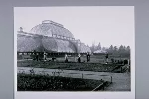 History Collection: Palm House and Parterre