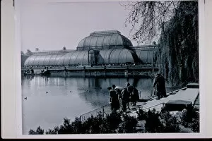 Early 20th Century Gallery: The Palm House, Royal Botanic Gardens, Kew