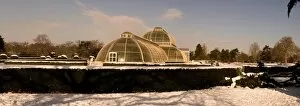 Snow Collection: Palm House in snow