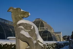Glasshouses Collection: Palm House in the snow