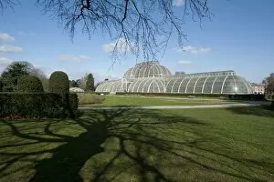 Blue Sky Gallery: Palm House in spring