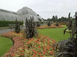 Floral gardens Gallery: Palm House in summer
