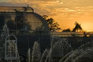 Glasshouses Collection: Palm House at sunset