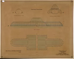 History Collection: Plan of the Palm House