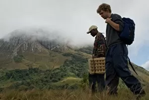 Mist Collection: Plant hunter, Mozambique, southern Africa