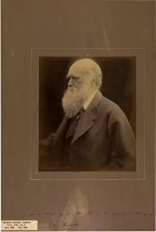 Monochrome Collection: Portrait of Charles Darwin, 1868, by Julia Margaret Cameron