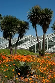 The Gardens Collection: Princess of Wales conservatory