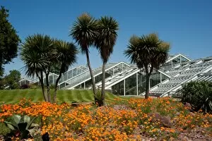The Gardens Gallery: Princess of Wales conservatory