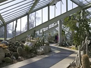 Glass House Gallery: Princess of Wales Conservatory