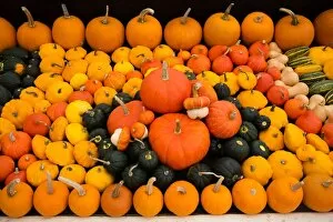 Orange Gallery: Pumpkins